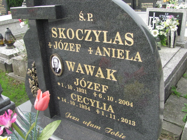 Cecylia Wawak 1934 Kozy (parafialny) - Grobonet - Wyszukiwarka osób pochowanych